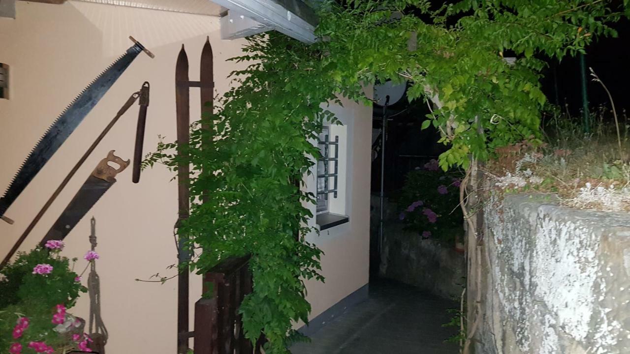 Apartment Gründelrast Prossen